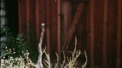 Gangbang with Watermelon - Excellent Threeway!