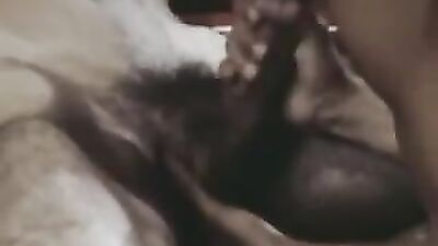 Vintage Thrills: Brothers Bareback Adventure