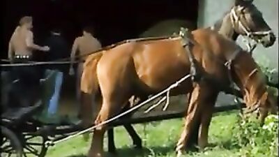 Rolling in the Hay: Action Group Sex Gay Porn Video