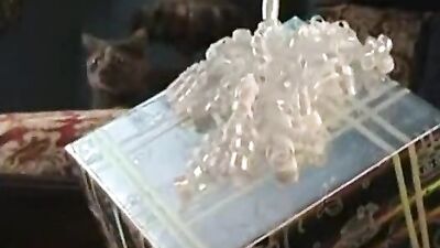 Stepsons Revenge: Daddys Birthday Action!