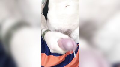 Sexy Ink Master Cumming - A Tattooed Pornstars Explosive Orgasm!