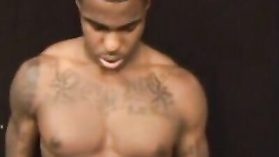 Gay Porn Brothers - Action Black Edition