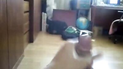 Entertaining Korean Cum Shot: A Journey of Self-Discovery for Young Adults!