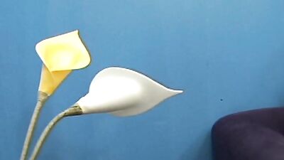 Latin meat young sex boy porn