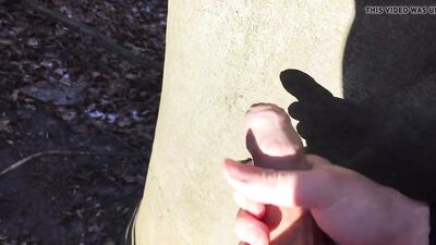 Gay teen porn wanking in the woods