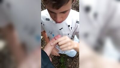 FEEDING IN THE FOREST