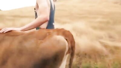 BROOKTON HOLLOW GAY TUBE BOYS PORN