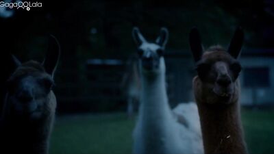 AA Vid S - Beat Beat Beat (short film 2013)