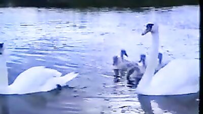 Beine neue Liebe outdoors groups sex gay teen porn