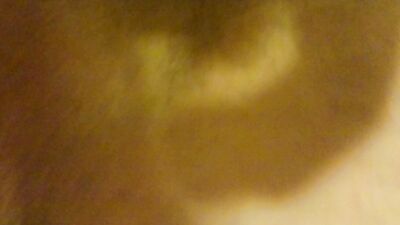 Playing Around - Action Amateur Ass Play Me Fucking My bf