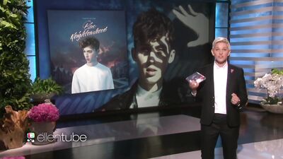 YouTube Sensation - Troye Sivans Gay Porn Video!