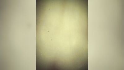 Raw Action with Fit Amateurs - NiceFitPorn