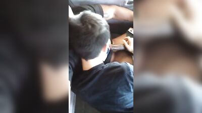 Backseat Blowjobs: Big Cocks in Action!