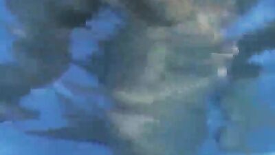 Gay Porn - Horny Bathroom Fucks: Oral Encounters