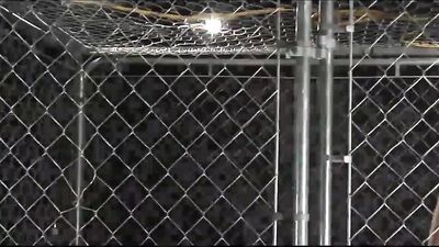 From the Cage to Freedom: The Ultimate Bareback Fetish Experience