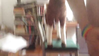 Gangbang Heat - Hardcore Thrills (89i657): A Gay Porn Video Full of Passionate Action and Steamy Sex Scenes