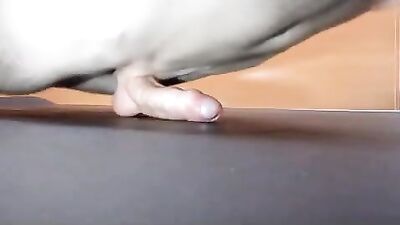 Gay Porn Muscle Boys Cum Shots