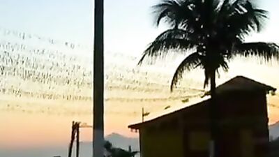 Sand, Sun, and Sexy Boys - Tropical Beach Fun Paradises!