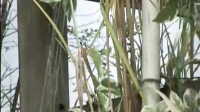 Erotic Paradise Fetish: Gay Cum Shots Handjob!