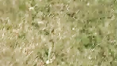 Blowjob at a Service Station: Amateur Oral Handjob Experience!