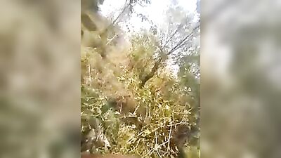 Young Encounter Interracial Handjob: An Amateur Adventure