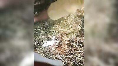 Young Encounter Interracial Handjob: An Amateur Adventure