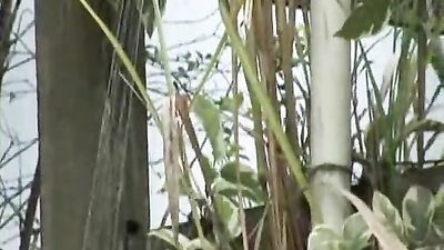 Young View Hard P2 - The Ultimate Gay Porn Experience