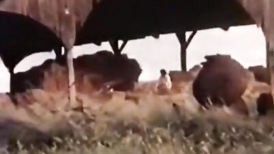 Lesbian Fever - Cadinot - French Vintage Porn