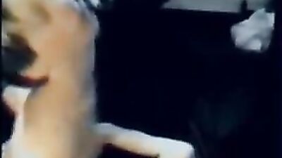 First Time Frenzy: Young Boys Explore Their Sexuality