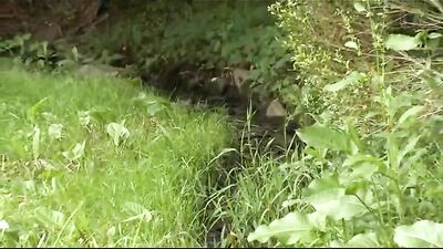 Pissing for Pleasure: Unleashing the Power Within!