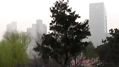 Asian Sex Gods: Explosive Lovemaking with Sexually Excited Japanese Lads!