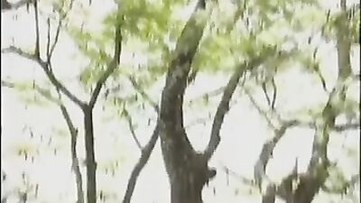 Gay Porn Spotlight: Enjoying the View and More Action Gay Porn for Real Men