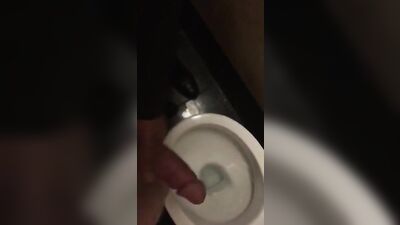 Gay Porn Toilet Romp: Becoming Wanked!