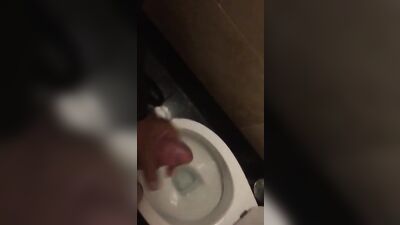 Gay Porn Toilet Romp: Becoming Wanked!