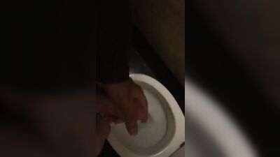 Gay Porn Toilet Romp: Becoming Wanked!