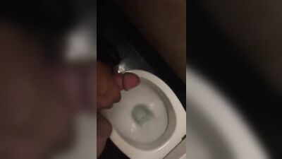 Gay Porn Toilet Romp: Becoming Wanked!