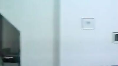 German Stallions - Action Packed