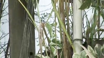 Backyard Boys Action Revenge: Seduction and Betrayal in the Garden