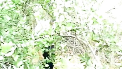 Gay Porn: Jacking off in Park with Tigers This new video is action-packed and promises to be a thrilling experience for all viewers!