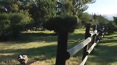 After The Horse Riding... Some Ass Riding: Dirty Stories (178 chars)