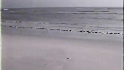 Playing on the beach