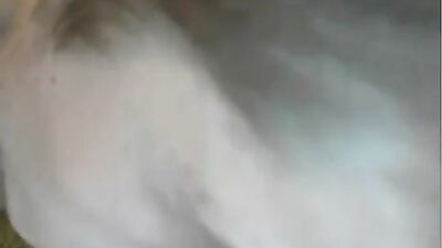 Straight Looking Selfers: The Ultimate Tease