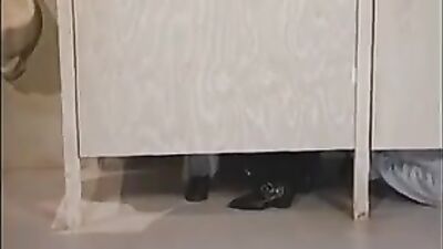 Raw Sex in the Toilet: Action Packed Anal Thrills!