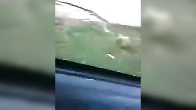 Diablos Joy Ride: Amateur Gay Porn Video