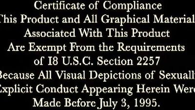 Gay Porn Twinks in Love - Classic: Action Revisited or Twink Love Story: Action Returns