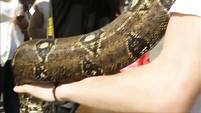 Young Lust #2: Cameron H by Dario Castillo