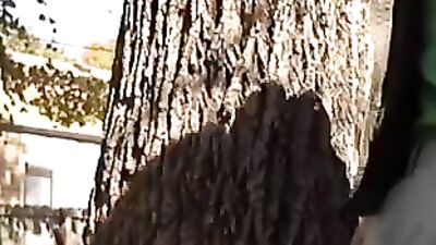 Cum Shot Licks: The Ultimate Gay Porn Experience!