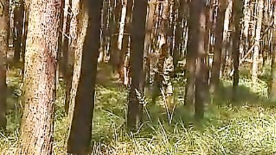 Gay Porn Scouting - For Boys with Action!