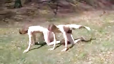 Twink Sing-a-long: Oh Chiwauwa Revisited!