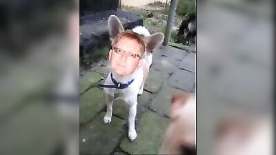 Twink Sing-a-long: Oh Chiwauwa Revisited!